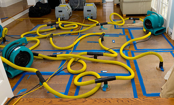 Professional Structural Drying And Dehumidification technician working in La Crescenta, CA